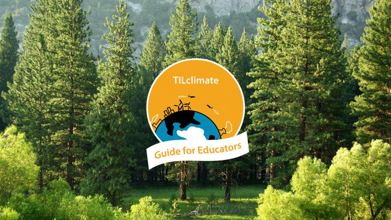 Trees, Forests, and Climate Change from MIT's TILclimate