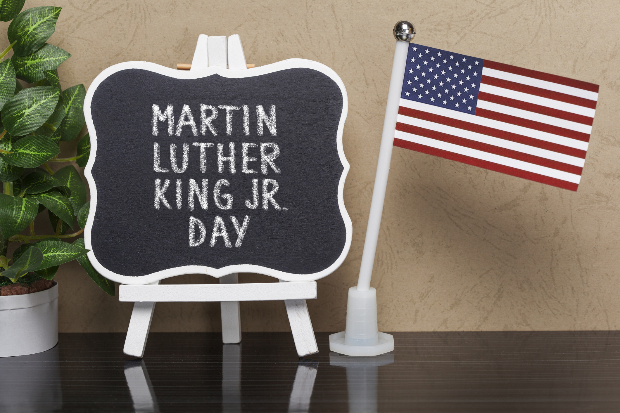 Martin Luther King & the Dream-R. DuBose-Butler -8