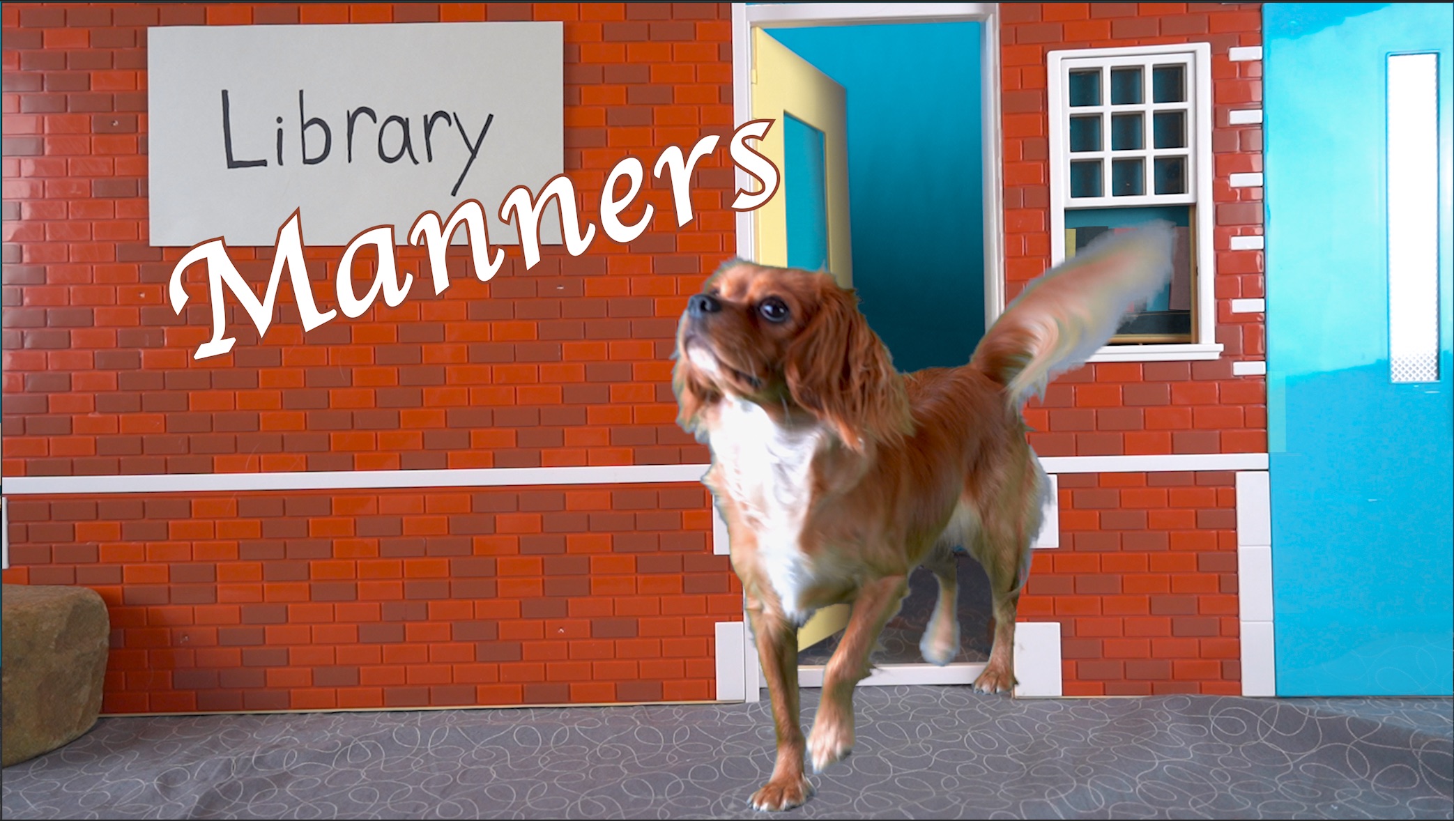 Library Manners