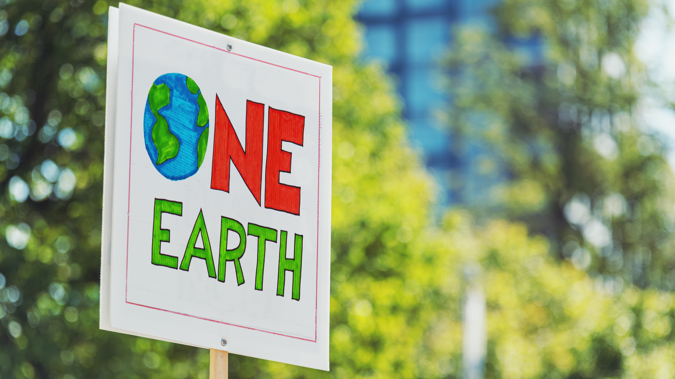 Climate Change Research Activities & Lesson for ELA