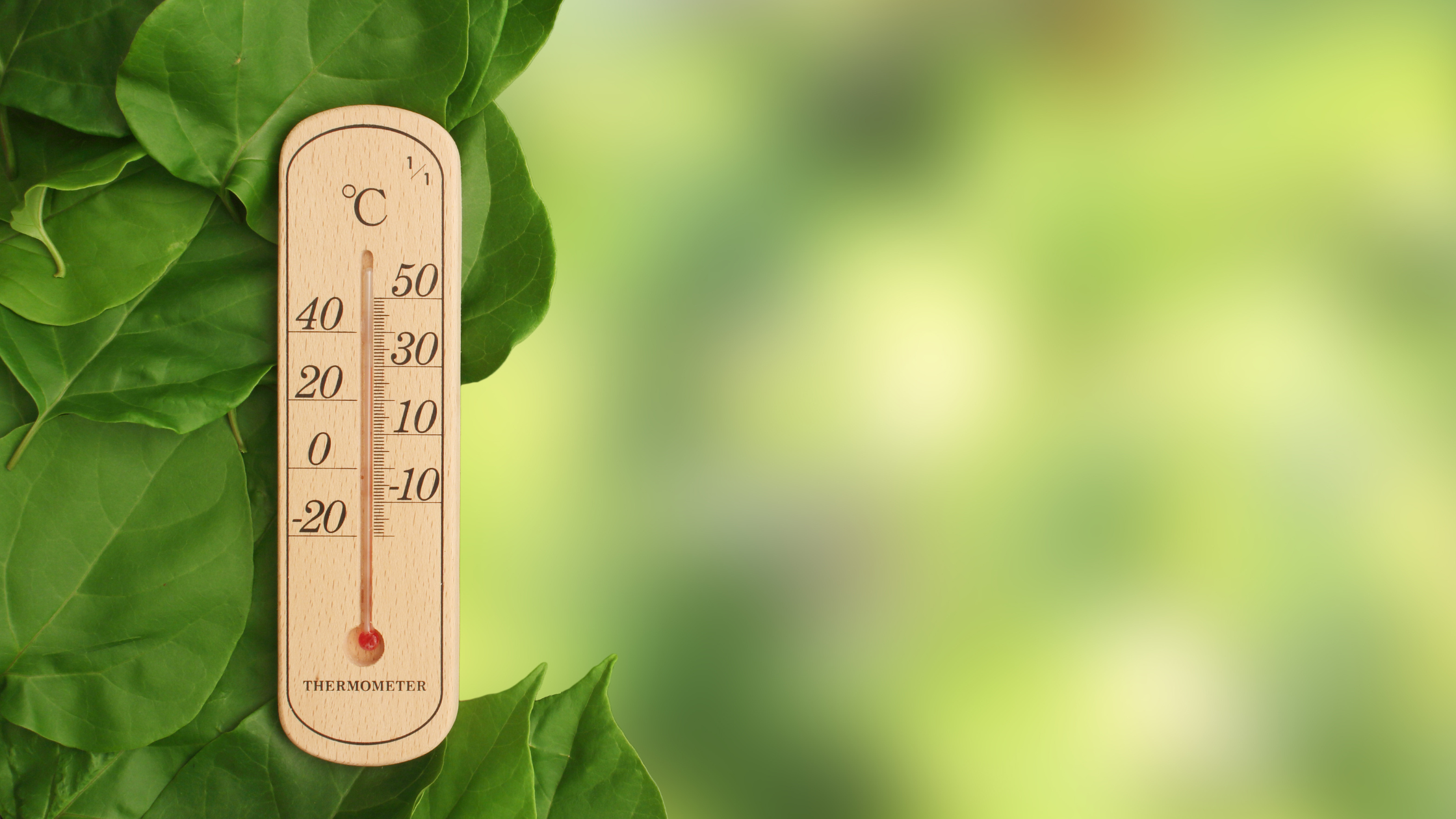Graphing Rising Temperatures: Science & Math  