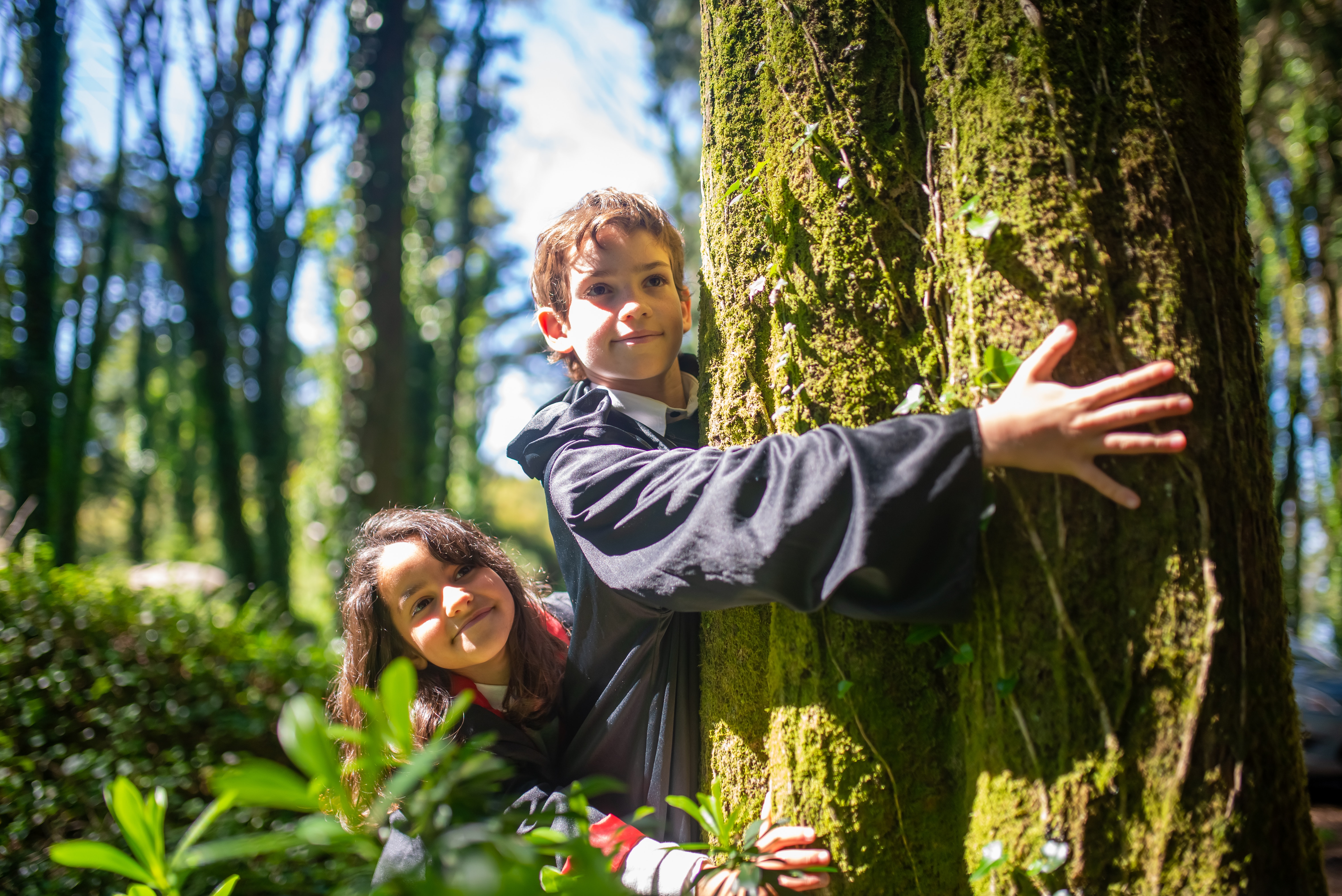 Creative Writing & The Significance of Trees 
