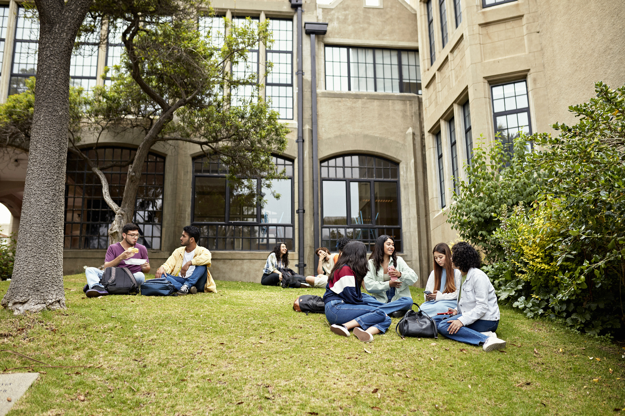 Campus Free Speech Resources for Higher Ed