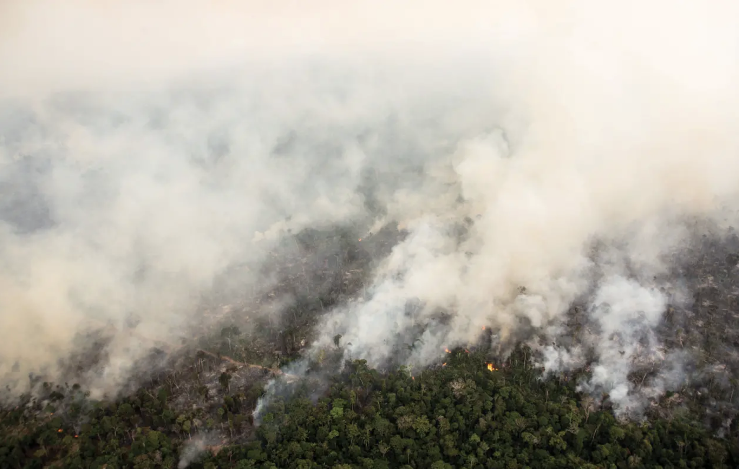  Teaching Climate Change: What Educators Should Know and Can Do