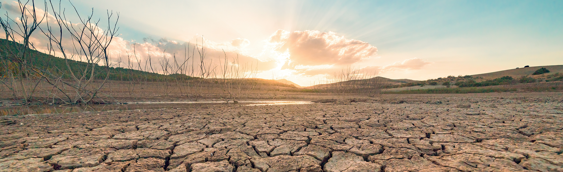 How the World Can Adapt to Climate Impacts