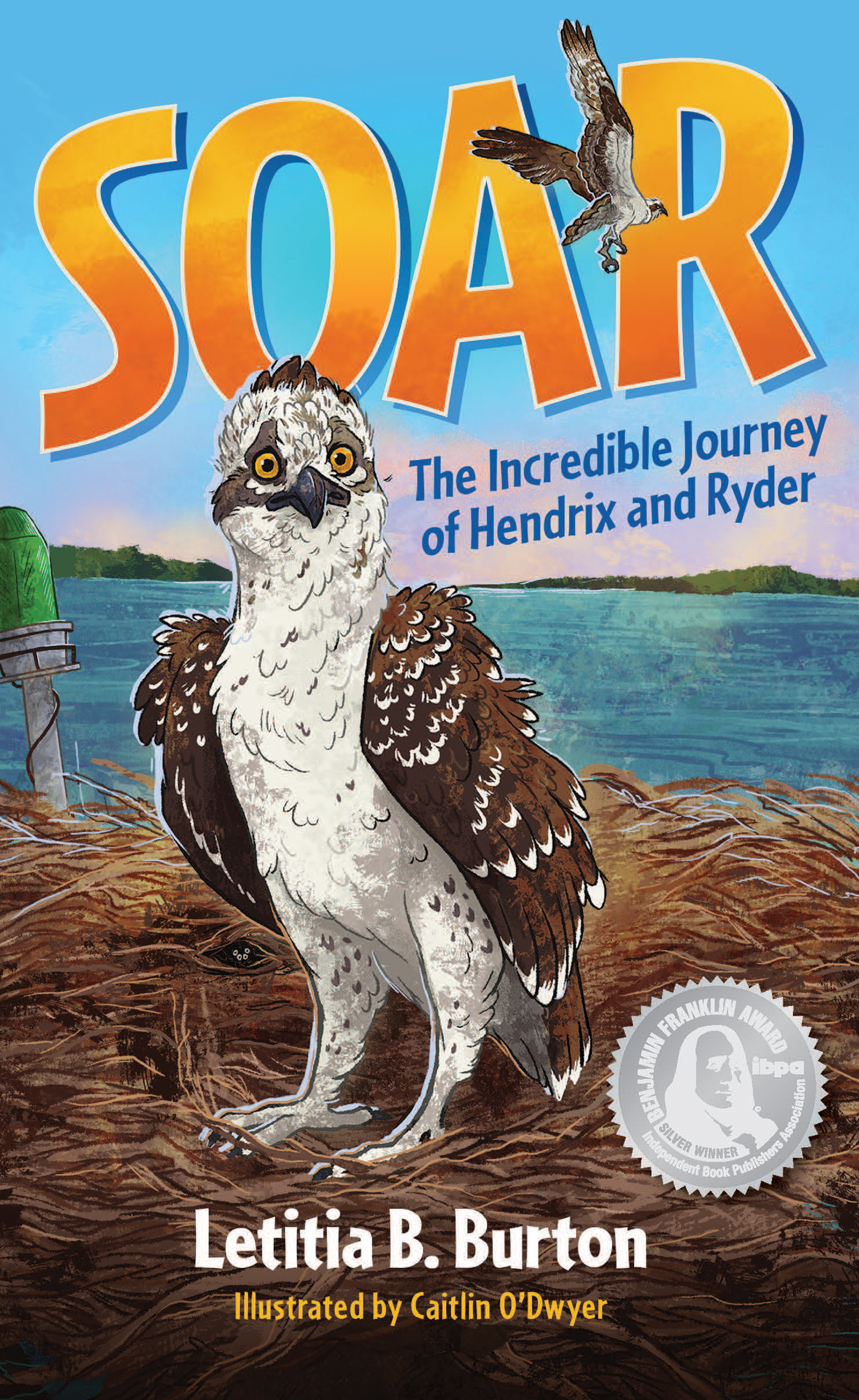 Soar: Free Classroom Sampler — ELA, Science & SEL Activities (Grades 3–5)