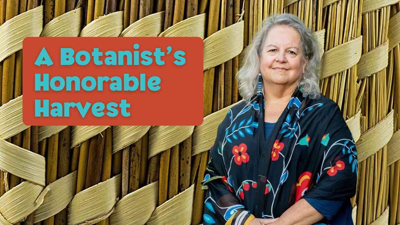 Robin Wall Kimmerer: Rethinking Our Relationship with Nature