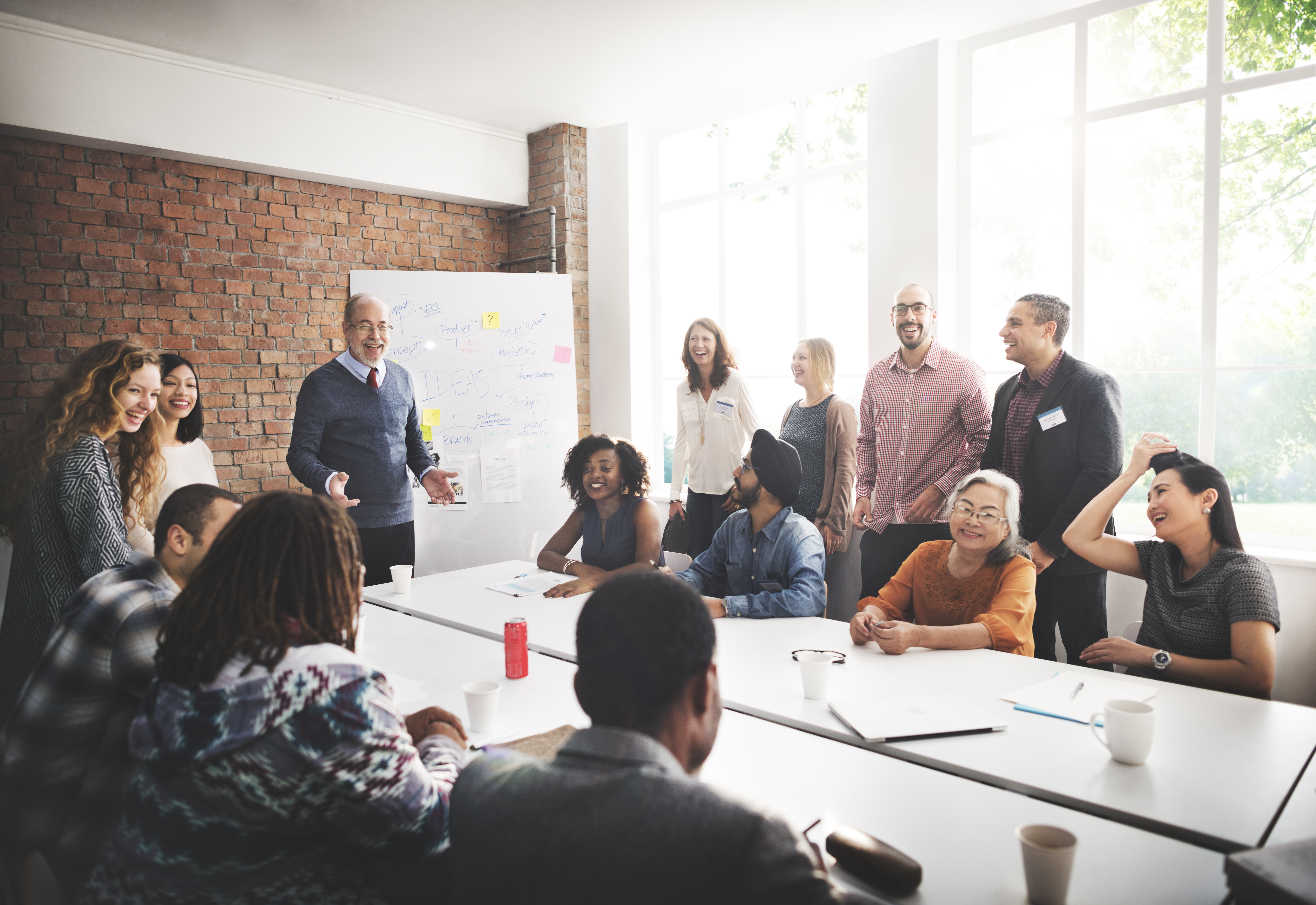 Developing a collaborative team