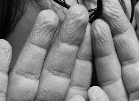 Test the Finger Wrinkle Hypothesis - Biology Lesson