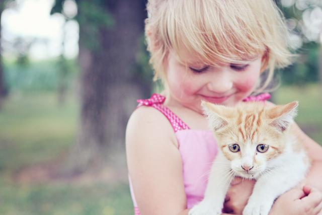 FAQs: Pet Allergens