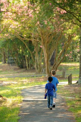 FAQS: BUG REPELLENT