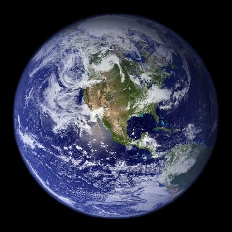 Earth Day/mini unit