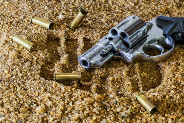 The Background Check Loophole
