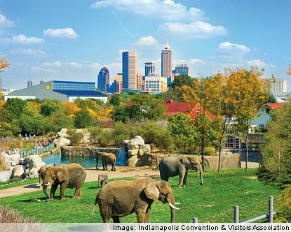 A Lesson for your Zoo Field Trip