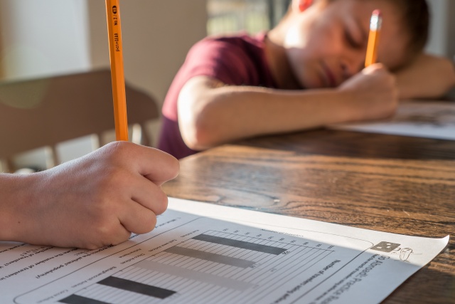 Tips to Surviving Homeschooling in a Pandemic