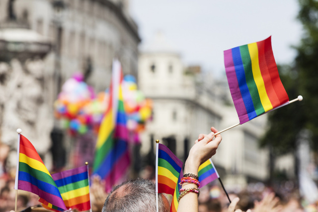 Marriage Equality: Different Strategies for Attaining Equal Rights