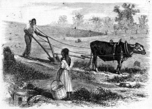 Reconstructing the South: A Role Play