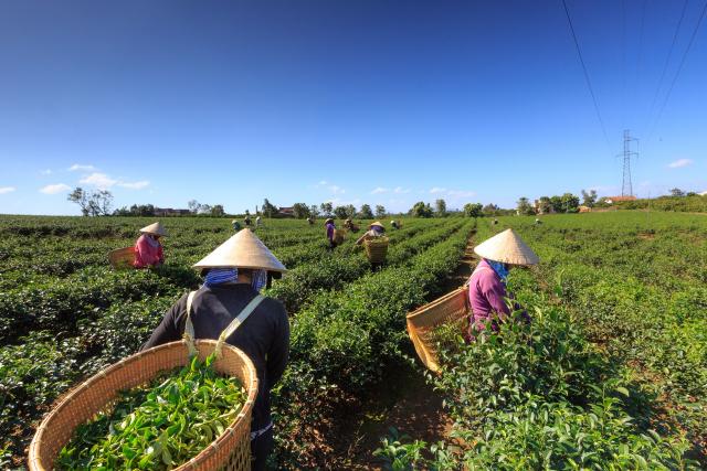 Filipino Migrant Workers