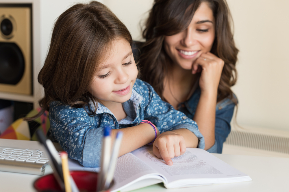 Assessing Characters - guided reading resource